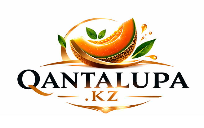 Qantalupa — веб-студия и продуктовая разработка